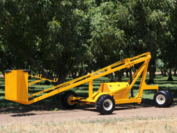 Tree Squirrel Pruning Tower